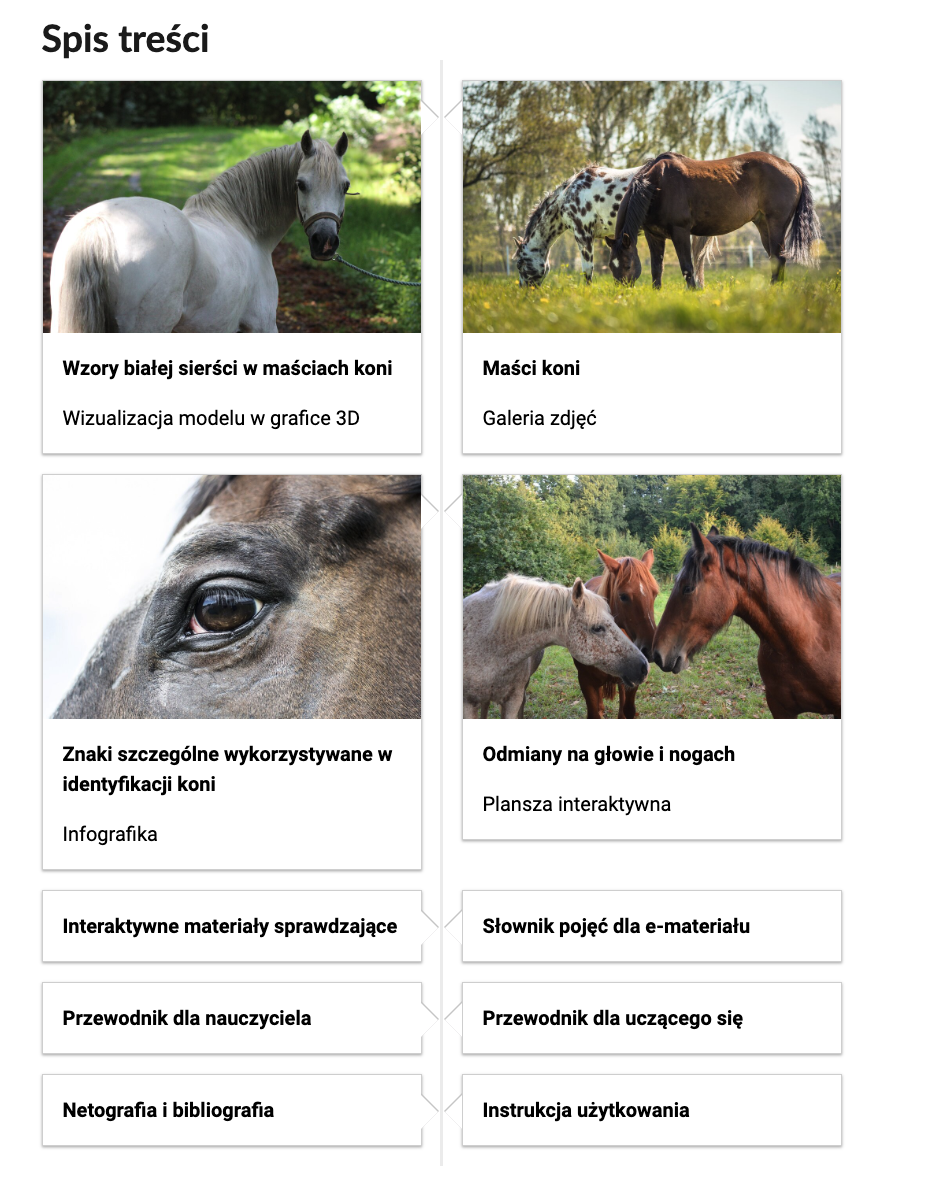 Grafika przedstawia kafelki ze spisu treści. Są umiejscowione obok siebie. Mają prostokątny kształt. Cztery pierwsze kafelki w górnej części mają grafikę, a na dole – tytuł i nazwę danego multimedium. Reszta kafelków nie ma zdjęć. Pierwszy kafelek przedstawia zdjęcie szarego konia. Na dole znajduje się podpis: Wzory białej sierści w maściach koni. Wizualizacja modelu w grafice 3D. Drugi kafelek przedstawia zdjęcie oka konia. Na dole znajduje się podpis: Znaki szczególne wykorzystywane w identyfikacji koni. Infografika. Trzeci kafelek to napis: Interaktywne materiały sprawdzające. Czwarty kafelek to napis: Przewodnik dla nauczyciela. Piąty kafelek to napis: Netografia i bibliografia. Szósty kafelek przedstawia zdjęcie dwóch koni pasących się na łące. Na dole znajduje się podpis: Maści koni. Galeria zdjęć. Siódmy kafelek przedstawia zdjęcie trzech koni, które stykają się głowami. Na dole znajduje się podpis: Odmiany na głowie i nogach. Plansza interaktywna. Ósmy kafelek to napis: Słownik pojęć dla e‑materiału. Dziewiąty kafelek to napis: Przewodnik dla uczącego się. Dziesiąty kafelek to napis: Instrukcja użytkowania.