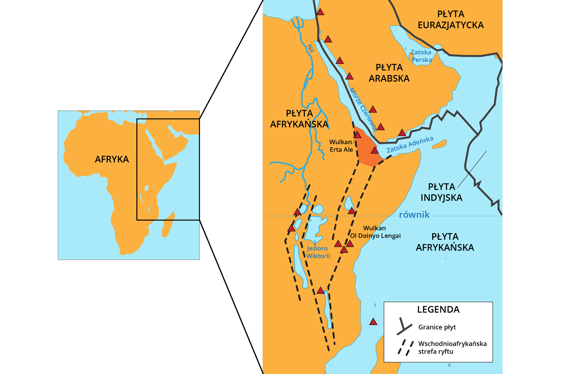 Na ilustracji jest mapa – wycinek wschodniego wybrzeża Afryki, Półwyspu Arabskiego oraz południowa część płyty eurazjatyckiej. Mapa przedstawia występowanie ryftu wschodnioafrykańskiego. Czarną, ciągłą linią są zaznaczono granice płyt tektonicznych. Na Morzu Czerwonym i Zatoce Adeńskiej jest granica płyty afrykańskiej i płyty arabskiej, z kolei na Oceanie Indyjskim płyty indyjskiej i afrykańskiej. Na obszarze wschodniej Afryki przerywanymi liniami są zaznaczone obszary, gdzie występuje wschodnioafrykańska strefa ryftu. Dwie przerywane linie ciągną się, jedna od wschodniego wybrzeża Afryki do zatoki Adeńskiej, a druga od okolic wschodniego wybrzeża do okolic Jeziora Wiktorii. Każda z tych dwóch płyt ma swoją równoległą do siebie strefę. Od okolic Jeziora Wiktorii do Morza Czerwonego występuje kolejna strefa ryftu. Przy tych strefach występują wzniesienia górskie zaznaczone czerwonymi trójkątami. Wulkany są podpisane m. in. Wulkan Erta Ale znajdujący się w strefie ryftu w okolicach Morza Czerwonego i Wulkan Ol Doinyo Lengai znajdujący się przy wybrzeżu Oceanu Indyjskiego równolegle od Jeziora Wiktorii.
