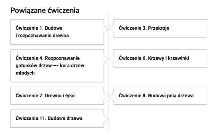 Grafika przedstawia widok przykładowego przycisku ćwiczeń powiązanych z danym multimedium. Widocznych jest siedem kafelków z tytułem i numerem ćwiczenia. Kafelek pierwszy. Ćwiczenie pierwsze. Budowa i rozpoznawanie drewna. Kafelek drugi. Ćwiczenie czwarte. Rozpoznawanie gatunków drzew – kora drzew młodych. Kafelek trzeci. Ćwiczenie siódme. Drewno i łyko. Kafelek czwarty. Ćwiczenie jedenaste. Budowa drzewa. Kafelek piąty. Ćwiczenie trzecie. Przekroje. Kafelek szósty. Ćwiczenie szóste. Krzewy i krzewinki. Kafelek siódmy. Budowa pnia drzewa.