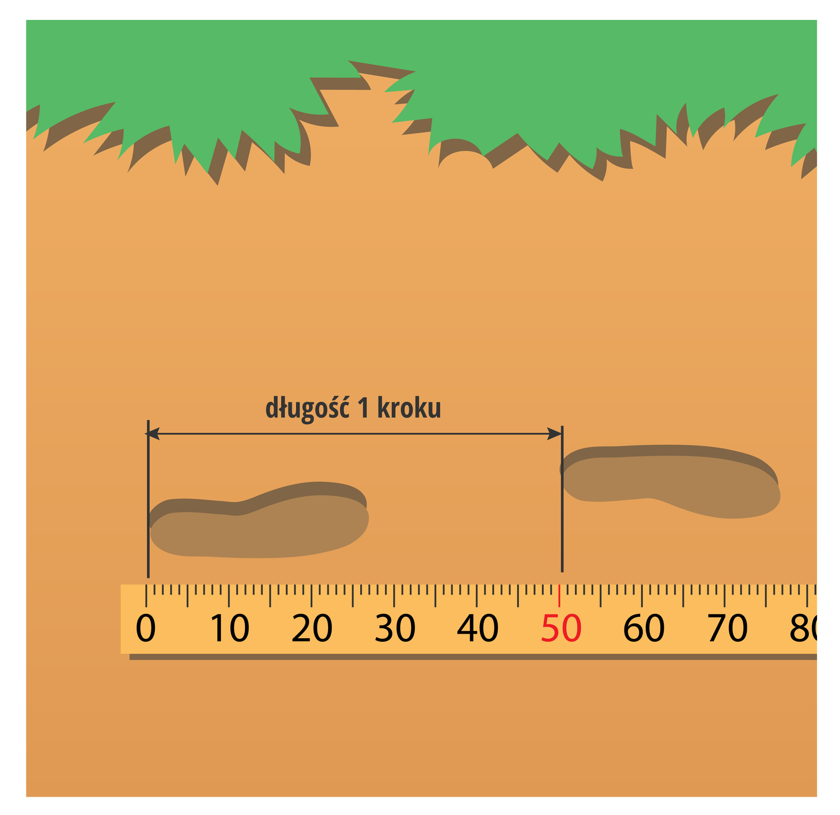 Ilustracja przedstawia drugi etap dokonywania pomiaru odległości metodą liczenia kroków: określenie długości kroku.