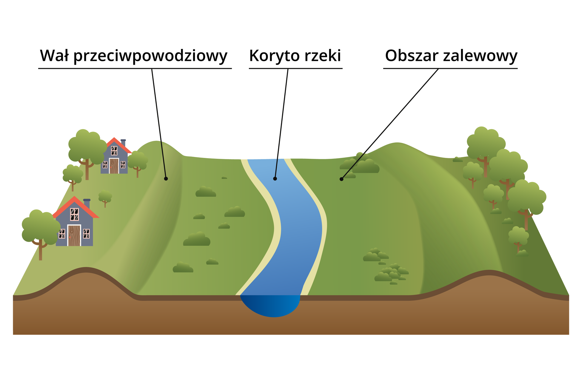 Ilustracja przedstawia schemat doliny rzecznej. W centralnej części obrazka występuje koryto rzeki. Po lewej i prawej od koryta rzecznego rozciąga się płaszczyzna, zkaończona wydłużonym wałem przeciwpowodziowym - jest to obszar zalewowy. Po lewej stronie za wałem przeciwpowodziowym zabudowa mieszkalna. Ilustracja przedstawia schemat doliny rzecznej. W centralnej części obrazka występuje koryto rzeki. Po lewej i prawej od koryta rzecznego rozciąga się płaszczyzna, zakończona wydłużonym wałem przeciwpowodziowym - jest to obszar zalewowy. Po lewej stronie za wałem przeciwpowodziowym zabudowa mieszkalna.