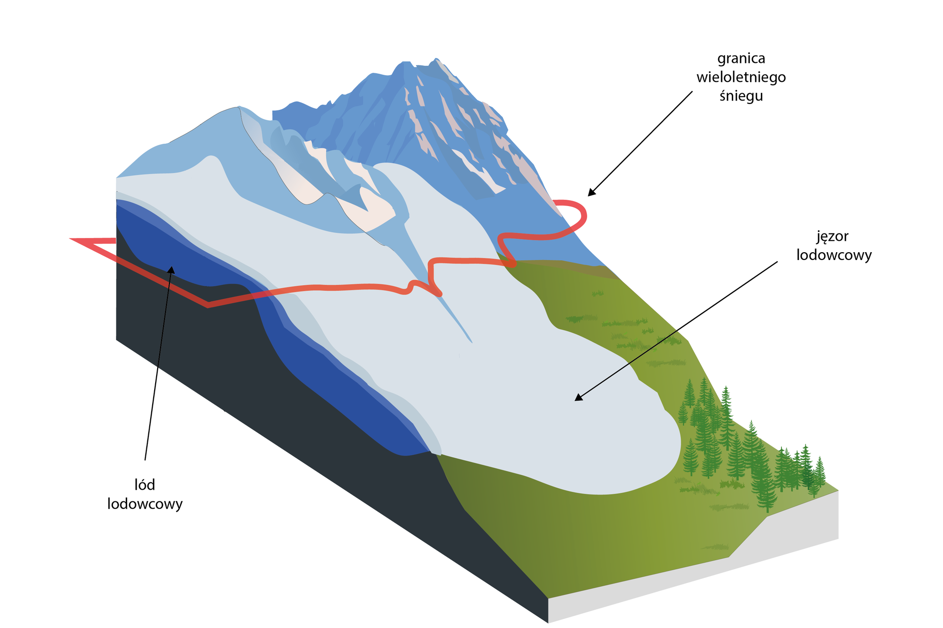 Widoczna jest ilustracja schematu lodowca górskiego. U jego podnóża dostrzegalna jest zielona polana oraz skrawek lasu iglastego. Na środku góry zauważalny jest jasno‑niebieski, nieregularny jęzor lodowcowy. Na czubku lodowca górskiego widoczna jest zastygła, ciemno‑niebieska bryła lodowa. Oddzielona jest czerwoną linią, przy której znajduje się napis: granica wieloletniego śniegu. Pod warstwą wieloletniego śniegu, widoczny jest granatowy lód lodowcowy.