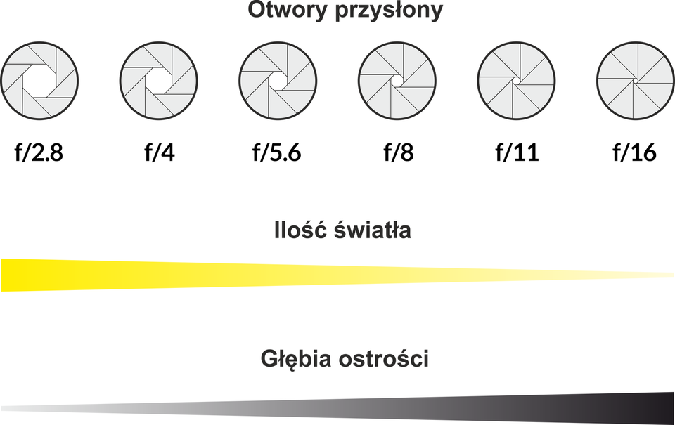 Ilustracja przedstawiająca wpływ otworu przysłony na ilość światła i głębi ostrości. W pierwszym rzędzie przedstawiono następujące wartości przysłony: f/2,8; f/4; f/5,6; f/8; f/11; f/16. Dla nich dodano wizualizację wielkości otworu przysłony: od największego dla f/2,8 do najmniejszego dla f/16. Poniżej pasek zwężający się w prawo dotyczący ilości światła – pod przysłoną f/2,8 najszerszy, pod f/16 najwęższy. Pod nim kolejny pasek, ale odwrócony, dotyczący głębi ostrości – pod przysłoną f/2,8 najwęższy, pod f/16 najszerszy.  