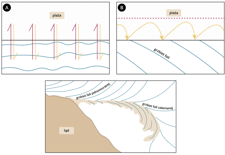 Schemat przemieszczania piasku przez falowanie składa się z trzech ilustracji. Są one oznaczone literą A, B oraz C.  Obrazek A jest podzielony poziomą czarną linią na pół. Górna część obrazka to plaża, dolna to powierzchnia morza. Od symbolu morza do symbolu plaży przebiegają fioletowe strzałki oznaczające wodę, która wpływa na plażę. Skierowane w drugą stronę strzałki symbolizują piasek, który ta woda zabiera.  Na rysunku B powierzchnia morza i powierzchnia plaży są rozgraniczone czarną poziomą linią. Na schematycznym rysunku morza niebieskie linie ukośne podpisane jako grzbiet fali. Na plaży w pewnej odległości nad czarną linią znajduje się fioletowa pozioma linia przerywana. Oznacza ona poziom, do którego sięga woda wpływająca na plażę. Na powierzchni plaży pomiędzy czarną, a fioletową linią są żółte, półokrągłe strzałki. Symbolizują piasek, który jest zabierany pod wpływem wody do morza.  Ostatni element schematu opisany literą C przedstawia powstawanie mierzei przez falowanie. W dolnym lewym rogu widać ląd w kolorze jasnobrązowym. Kolor biały to morze, a linie ukośne odchodzące od brzegu lądu oznaczają grzbiety fali. Od lądu odchodzi w głąb morza mierzeja -jasnobrązowa plama o podłużnym kształcie, na której narysowane są ukośne linie. W miejscu, gdzie fale stykają się z lądem widnieje napis grzbiet fali pełnomorskiej, a gdzie załamują się pod wpływem mierzei jest napis grzbiet fali załamanej. Obrazuje to napływanie piasku tworzącego mierzeję.  