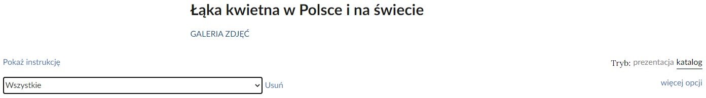 Widok trybu wyświetlania galerii zdjęć. Ukazany jest pasek menu. Na samej górze znajduje się tytuł: Łąka kwietna w Polsce i na świecie, pod nim interaktywny przycisk "Galeria zdjęć". W lewym rogu znajduje się przycisk "Pokaż instrukcję", a pod nim lista rozwijana i w niej hasło "Wszystkie". W prawym rogu nad kafelkami znajduje się tryb: prezentacja katalog, a pod nim przycisk "więcej opcji".