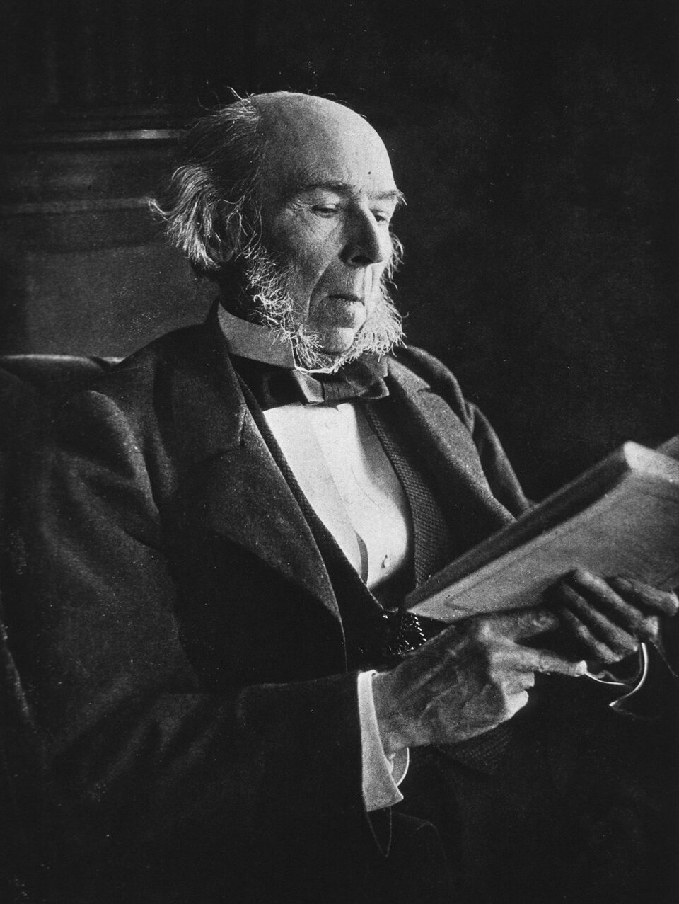 Zdjęcie przestawia starszego mężczyznę. Jest ukazany jego prawy półprofil. Mężczyzna siedzi na fotelu. Trzyma w rękach otwartą książkę. Czyta. Na twarzy mężczyzny widać liczne zmarszczki. Jego włosy są rzadkie i niedbale ułożone. Nos ma haczykowaty kształt. Mężczyzn ma długie bokobrody. Ubiór mężczyzny jest staranny. Jest ubrany w surdut, kamizelkę, koszulę ze stójką i muszkę.