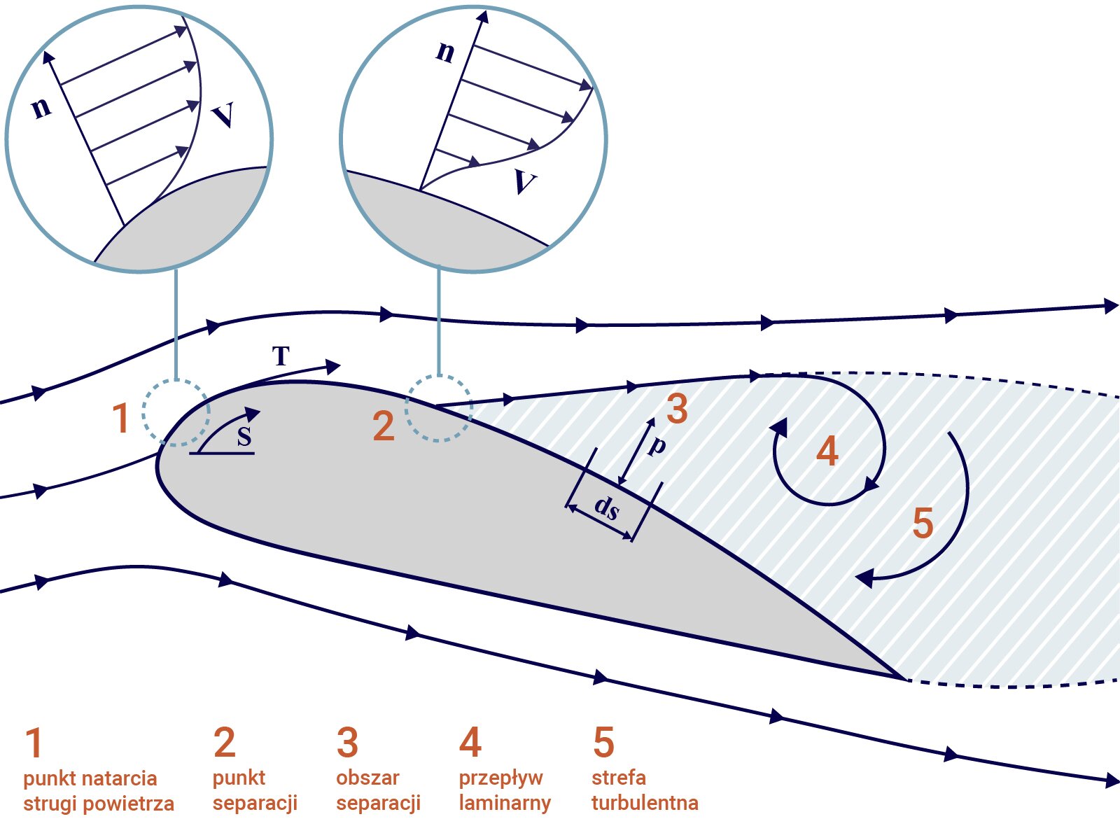 Ilustracja przedstawia poprzeczny przekrój skrzydła samolotu o kształcie wydłużonego migdału. Zaokrąglona część znajduje się w lewej części rysunku i jest to przód skrzydła, ostro zakończona część przekroju jest po prawej części rysunku i jest to tylna część skrzydła. Liniami zaznaczono strugi powietrza opływające skrzydło. Zaznaczono na nich kierunek przepływu powietrza w prawą stronę. Punktami wyróżniono kilka ważnych elementów. Jeden. Punkt natarcia strugi powietrza. Znajduje się on z przodu skrzydła na jego zaokrąglonej przedniej krawędzi. Im dalej od punktu natarcia, tym prędkość wiatru jest większa. Dwa. Punkt separacji. Znajduje się on na górnej powierzchni skrzydła w miejscu, w którym powietrze odbija się od niego. Trzy. Obszar separacji. Jest to obszar od punktu separacji ograniczony dalszą tylną częścią górnej powierzchni skrzydła. Z góry obszar separacji ogranicza struga powietrza biegnąca z punku separacji. Cztery. Przepływ laminarny. Tutaj struga biegnąca od punktu separacji zmienia kierunek, zakręca i drga. Pięć. Strefa turbulentna to obszar, w którym strugi powietrza tuż za skrzydłem zmieniają kierunek, zawijają i drgają. 