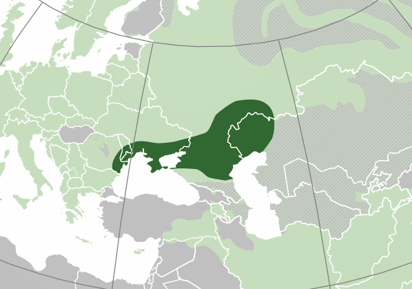 Mapa Euroazji. Zaznaczony jest na niej obszar praojczyzny języków indoeuropejskich. Obejmował on obecną południową Ukrainę, Mołdawię i Rumunię oraz Gruzję i zachodnią część Kazachstanu. Współczesne języki indoeuropejskie obejmują cały obszar współczesnej Europy, środkową i południową część Azji.
