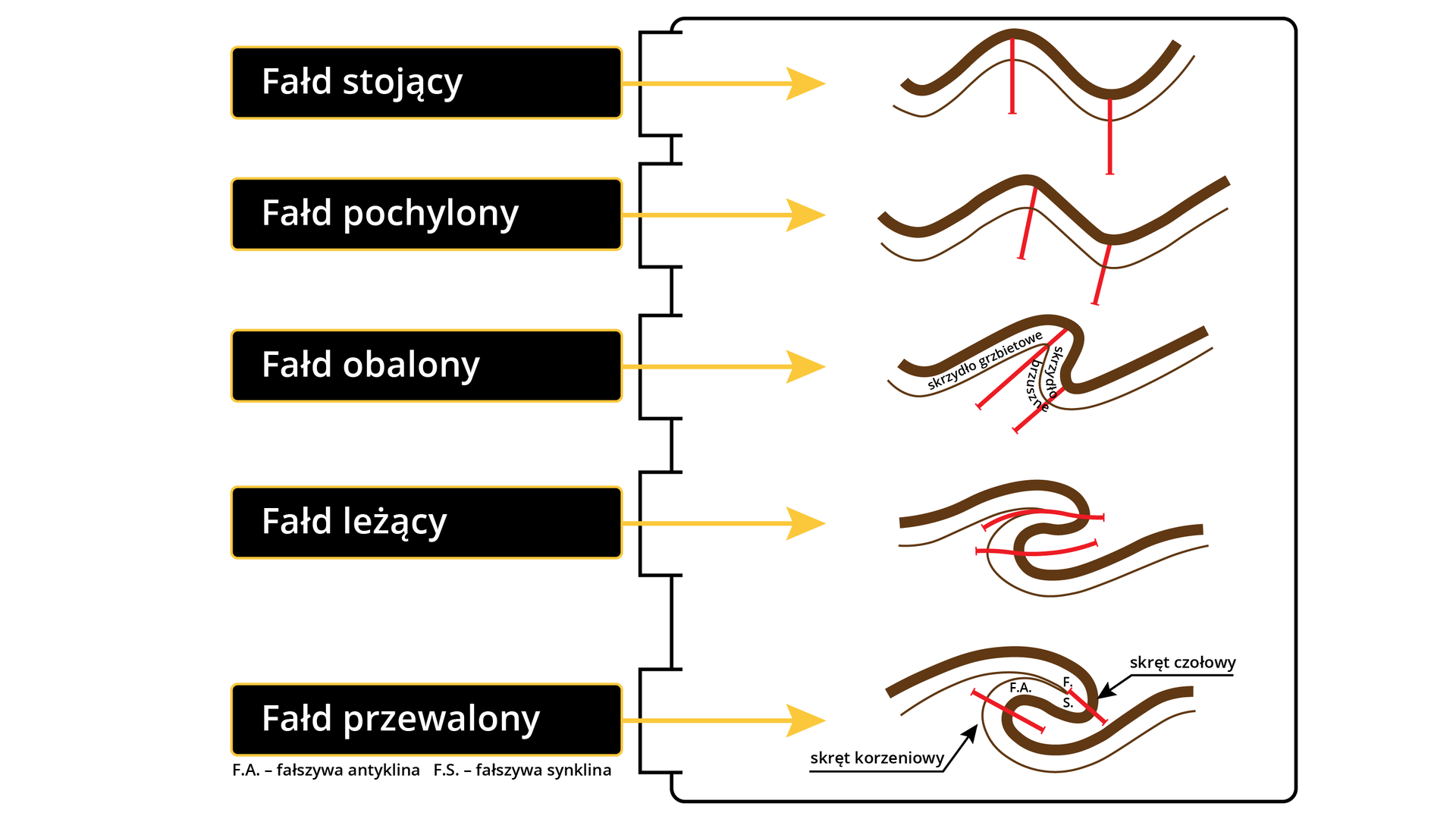 Ilustracja prezentuje kinematyczną klasyfikację fałdów. Fałd stojący - fałd o skrzydłach zapadających pod tym samym kątem. W fałdzie pochylonym skrzydła zapadają się pod różnym kątem, są nachylone w przeciwnych kierunkach. Na ilustracji nieznacznie przechylone w prawo. Fałd obalony - fałdy o skrzydłach - grzbietowych i brzusznych - zapadających się pod różnym kątem, są nachylone w jednym kierunku. Fałd leżący - fałd o poziomej powierzchni osiowej, synklina wchodzi pod antyklinę. Fałd przewalony - skrzydło grzbietowe jest zawinięte w stronę skrzydła brzusznego jeszcze bardziej niż w fałdzie leżącym. Miejsce zawinięte, będące antykliną, to skręt czołowy, a wchodząca pod antyklinę synklina tworzy skręt korzeniowy.    