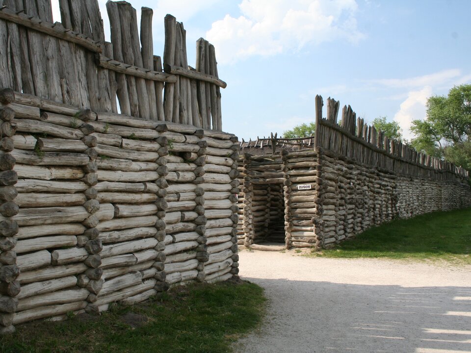 Fotografia przedstawia widok na ogrodzenie osady w Biskupinie. Fragment palisady w dolnej części zbudowany jest z poziomo ułożonych belek, natomiast w górnej z pionowych żerdzi. W przerwaniu ogrodzenia widoczne jest wejście do wnętrza. 