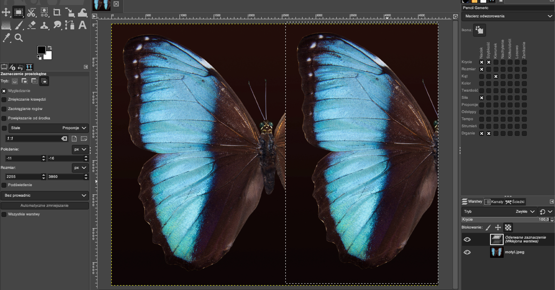 Ilustracja przedstawia okno programu. Po lewej stronie jest panel dotyczący zaznaczenia prostokątnego. Zaznaczono Wygładzenie. W obszarze roboczym podzielonym pionową przerywaną linią są dwa obrazki - na jednym jest obraz motyla ucięty po prawej stronie, zaraz za tułowiem, po prawej stronie jest zdjęcie jednego skrzydła. Po prawej stronie jest panel dotyczący Pencil Generic, Macierz odwzorowania. Poniżej jest sekcja dotycząca warstw. Tam dwie warstwy: Oderwane zaznaczenie (wklejona warstwa) oraz motyl.jpeg.