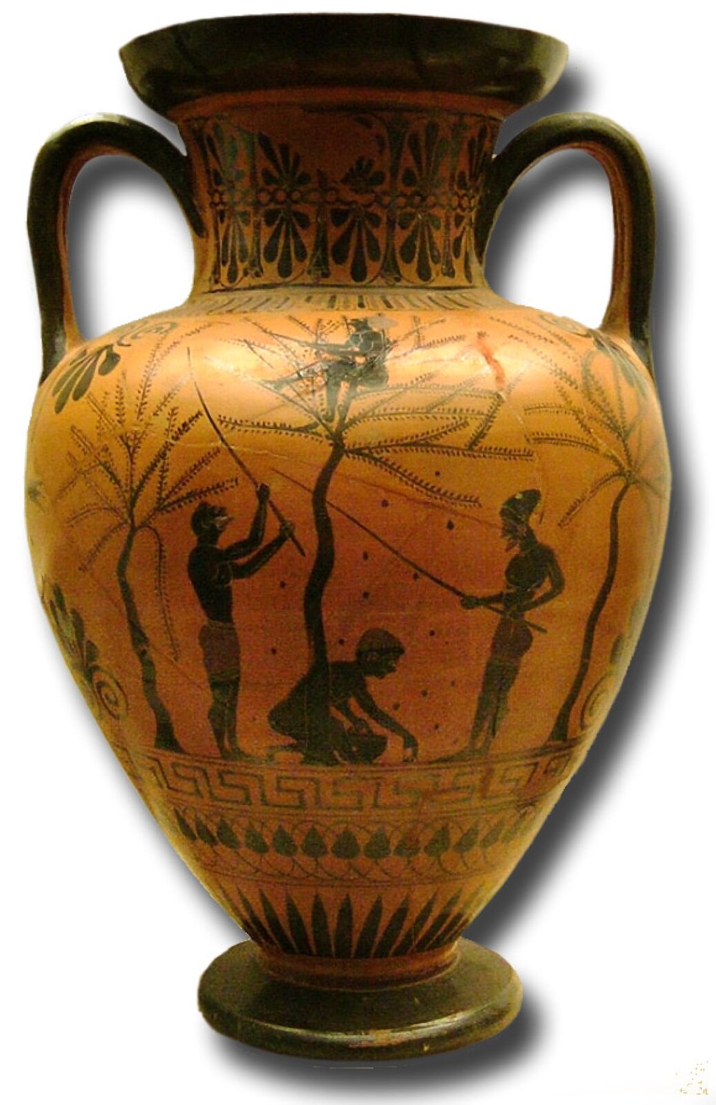 Na zdjęciu pokazano dzieło malarza Antimenesa pod tytułem „Zbiór oliwek” – z ilustracją na której widoczne jest malarstwo w stylu czarnofigurowym. Na ściance naczynia zostały namalowane cztery postacie – dwóch mężczyzn z długimi kijami, którzy biją w drzewo, jeden mężczyzna zbierający spadające na ziemię oliwki oraz jedna postać siedząca na drzewie. Scena ma miejsce w gaju oliwnym, obok widoczne są również inne drzewa oliwne. Pod postaciami oraz u góry wazy namalowano ozdobne symetryczne wzory. Waza, oprócz czarnych namalowanych elementów, jest pomarańczowa. Po bokach, bliżej góry naczynia, są dwa ucha. Waza rozszerza się w górnej części.