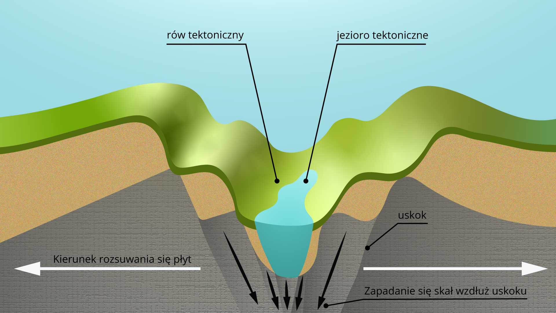 Schemat rowu tektonicznego. Na ilustracji jest przekrój przez teren, na którym jest rów tektoniczny. Po lewej i prawej stronie rowu jest wzniesienie. Rów jest w obniżeniu terenu. Na dnie rowu jest jezioro tektoniczne. Rów jest w miejscu uskoku. Wzdłuż skał w głąb schematu zapadają się skały. Zaznaczono kierunek rozsuwania się płyt - od uskoku na zewnątrz.  