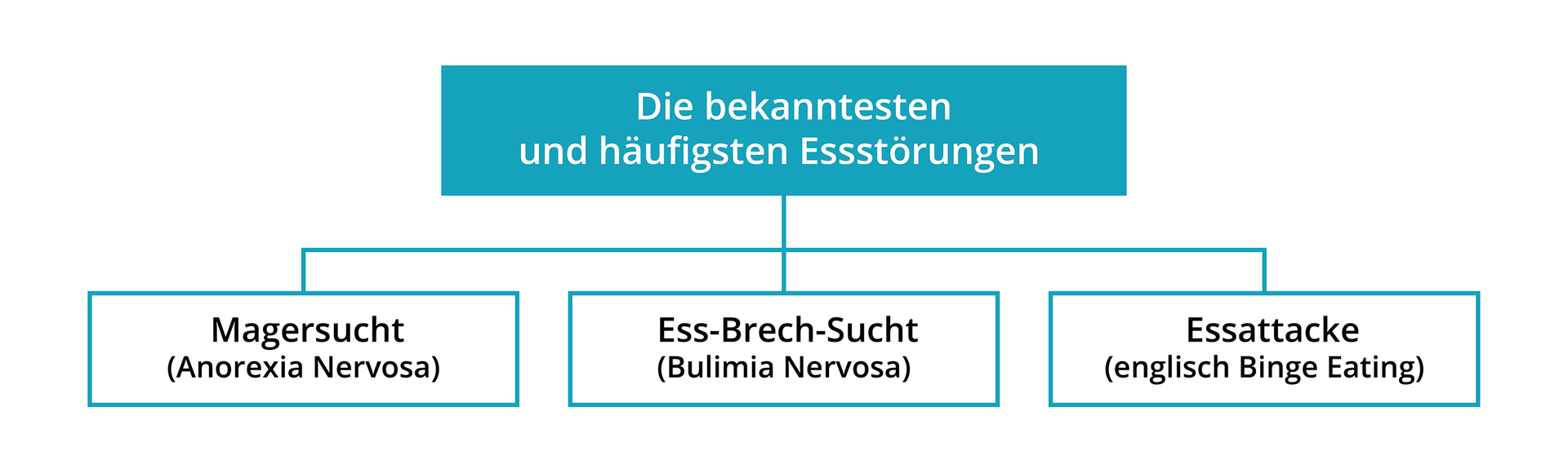 Wykres. Na górze widnieje napis w ramce Die beknntesten und haufigsten esstorungen. Od niego odchodzą trzy ramki. W pierwszej ramce po lewej widoczny jest napis magersucht. anorexia nervosa. W kolejnej ramce widnieje ess‑brech‑sucht. bulimia nervosa. W ostatniej ramce widnieje  essattacke.  english binge eating