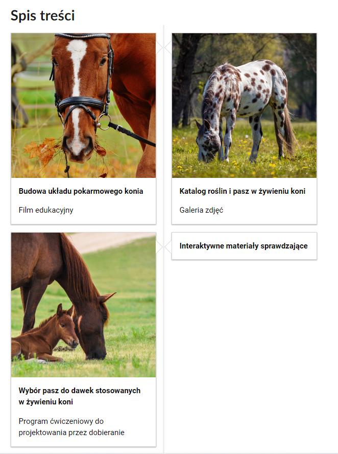 Grafika przedstawia fragment spisu treści tej lekcji. Przedstawiono cztery kafelki. Na trzech z nich umieszczono tytuł materiału, jego rodzaj oraz ilustracje powiązaną z jego tematem. Na czwartym kafelku umieszczono jedynie rodzaj materiału. Pierwszy kafelek zatytułowano: Budowa układu pokarmowego. Film edukacyjny. Posiada on ilustrację przedstawiającą zbliżenie na stojącego na łące konia o kasztanowym umaszczeniu. Drugi kafelek zatytułowano: Katalog roślin i pasz wykorzystywanych w żywieniu koni. Galeria zdjęć. Posiada on ilustrację przedstawiającą konia pasącego się na łące. Zwierzę ma siwe umaszczenie. Na całym ciele pokryty jest brązowymi plamami. Trzeci kafelek zatytułowano: Wybór pasz do dawek stosowanych w żywieniu koni. Program ćwiczeniowy do projektowania przez dobieranie. Posiada on ilustrację przedstawiającą zbliżenie na znajdującą się na łące klacz ze źrebakiem. Zwierzęta mają gniade umaszczenie. Czwarty kafelek zatytułowano: Interaktywne materiały sprawdzające.