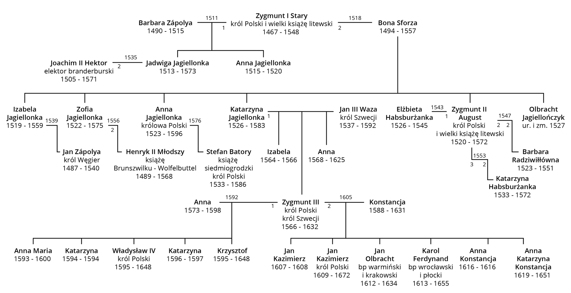 Ilustracja przedstawia drzewo genealogiczne Jagiellonów począwszy od króla Zygmunta I Starego, króla Polski i wielkiego księcia litewskiego (1467-1548) po jego prawnuki. Król Zygmunt I Stary był dwukrotnie żonaty. Jego pierwszą żoną była Barbara Zápolya (ślub w 1511 roku), z którą miał troje dzieci: Joachima II Hektora (elektora brandenburskiego), Jadwigę Jagiellonkę i Annę Jagielonkę. Ponownie ożenił się z Boną Sforzą (w 1518 roku). Z tego związku urodziło się sześcioro dzieci: 1. Izabela Jagiellonka (1519-1559), żona Jana Zápolya, króla Węgier; 2. Zofia Jagiellonka (1522-1575), żona Henryka II Młodszego, księcia Brunszwiku-Wolfbuttel; 3. Anna Jagiellonka, królowa Polski (1523-1596), żona Stefana Batorego, księcia siedmiogrodzkiego, króla Polski; 4. Katarzyna Jagiellonka (1526-1583), żona Jana III Wazy, króla Szwecji, z którym miała troje dzieci: Izabelę, Zygmunta III i Annę; 5. Zygmunta II Augusta, króla Polski i wielkiego księcia litewskiego, trzykrotnie żonatego: z Elżbietą Habsburżanką, Katarzyną Habsburżanką i Barbarą Radziwiłłówną, bezdzietnego; 6. Olbrachta Jagiellończyka, urodzonego i zmarłego w 1527 roku. Wspomniany już wnuk Zygmunta I Starego, syn jego córki Katarzyny Jagiellonki i Jana III Wazy, Zygmunt III był królem Polski i królem Szwecji (1566-1632). Był on dwukrotnie żonaty. Pierwsza żona to Anna, z którą miał pięcioro dzieci: Annę Marię, Katarzynę, Władysława IV (króla Polski, 1595-1648), Katarzynę i Krzysztofa. Druga żona to Konstancja, z którą miał sześcioro dzieci: Jana Kazimierza (żył tylko rok), Jana Kazimierza, króla Polski (1609-1672), Jana Olbrachta, biskupa warmińskiego i krakowskiego, Karola Ferdynanda, biskupa płockiego i wrocławskiego, Annę Konstancję, Annę Katarzynę Konstancję.