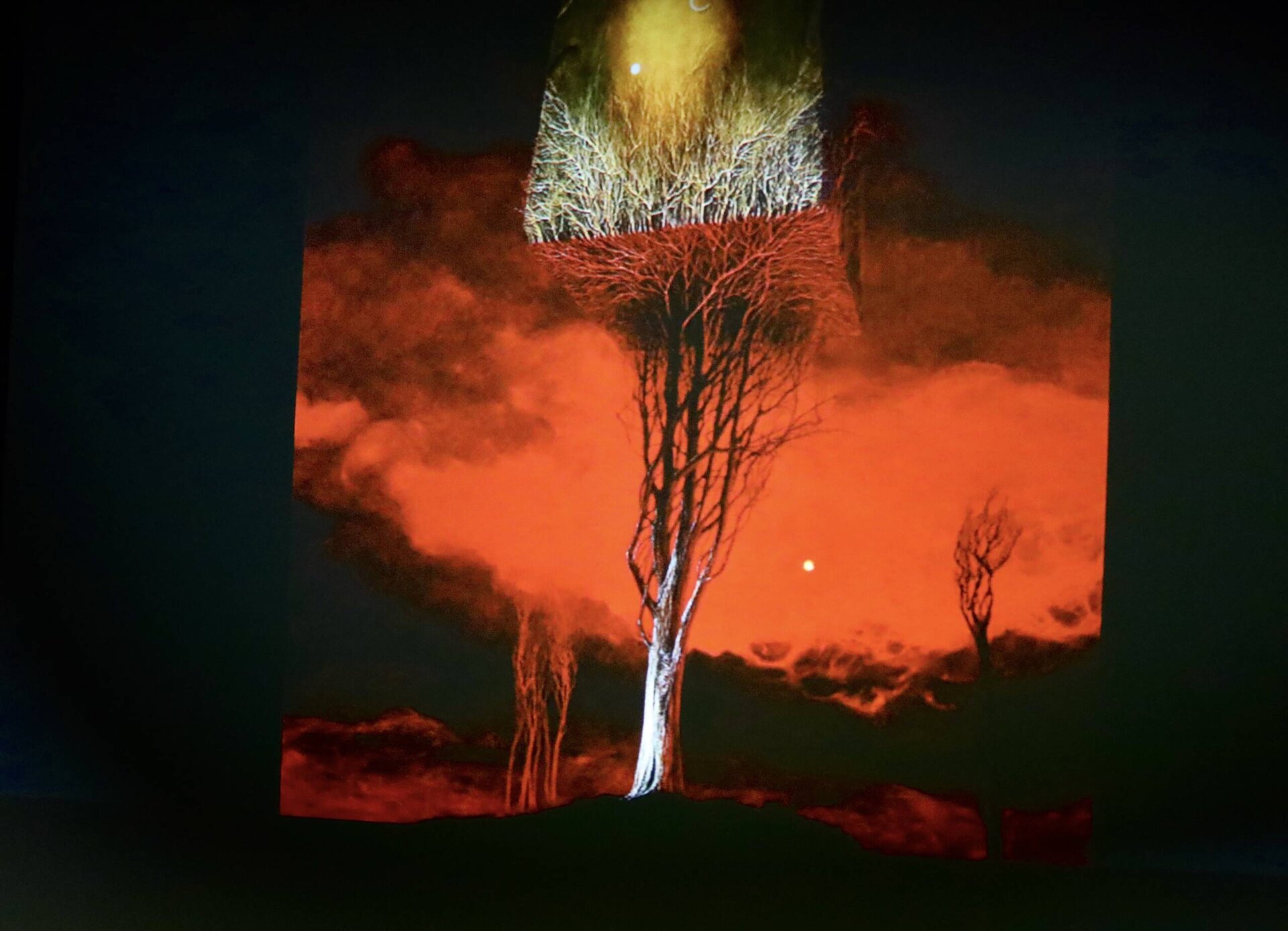 Ilustracja ukazuje dzieło Zdzisława Beksińskiego eksponowane na wystawie prac. Na pierwszym planie obrazu widoczne jest drzewo bez liści, które można interpretować jako symbol zbliżającego się końca lub zwiastun umierania. W oddali w tle widać kolejne drzewo, zanurzone w cieniu. Rzucającym się w oczy elementem jest czerwona mgła unosząca się w powietrzu, sugerująca wizję apokaliptycznej degradacji świata lub ludzkiej egzystencji. Górna część obrazu przedstawia „odcięty” fragment, który skupia się na czubku drzewa. Kolory tego fragmentu są bardziej realistyczne, niezniesione mgłą, podkreślając różnicę atmosferyczną. Wewnątrz tego fragmentu można dostrzec pomarańczowe światło na nocnym niebie oraz księżyc.