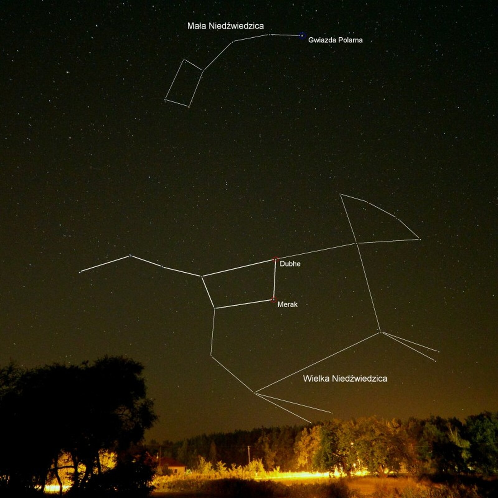 Rys. 1. Zdjęcie wykonane nocą, przedstawia las, biegnącą poprzecznie drogę oświetloną światłem latarni i rozgwieżdżone niebo. Klika gwiazd połączono białymi odcinkami układającymi się w dwa kształty. Pierwszy kształt, w górnej części, nieco pośrodku zdjęcia, wskazuje Mała Niedźwiedzicę, widoczną w postaci układu gwiazd przypominającym poziomo ułożoną łyżkę z wierzchołkiem skierowanym w lewo. Na końcu "uchwytu łyżki" ułożonego po prawej stronie opisano Gwiazdę Polarną kończącą gwiazdozbiór. Niżej nad lasem widoczny jest drugi kształt – gwiazdozbiór Wielkiej Niedźwiedzicy. Kształt przypomina zwierzę z łapami opuszczonymi w dół, łbem skierowanym w prawo i ogonem skierowanym w lewo. W części ogona i tylnego grzbietu Wielkiej Niedźwiedzicy widoczny jest układ gwiazd, który również przypomina łyżkę z wierzchołkiem skierowanym w prawo. Ta konstelacja jest nazywana Wielkim Wozem i wchodzi w skład Wielkiej Niedźwiedzicy. Gwiazdy na prawej krawędzi wierzchołka opisano: górną jako Dubhe, a dolną jako Merak. 