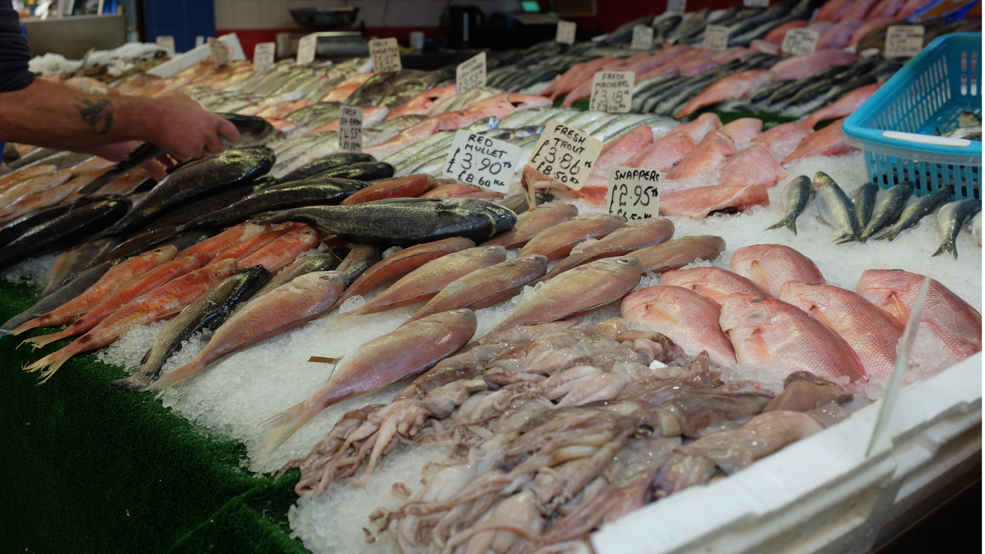 Zdjęcie przedstawia stragan z rybami i owocami morza. Na straganie znajduje się wiele gatunków ryb. Ułożone są na pokruszonym lodzie. Przy każdym gatunku widoczna jest tabliczka z ceną.