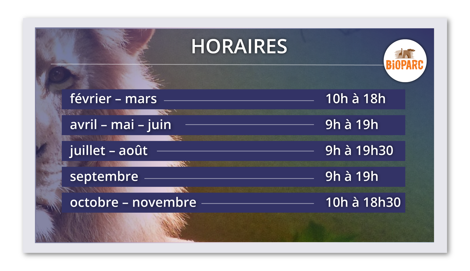 Grafika zatytułowana HORAIRES Przedstawia godziny otwarcia Bioparku w poszczególnych miesiącach. W tle zdjęcie lwa. février - mars - 10h à 18h avril - mai - juin - 9h à 19h juillet - août - 9h à 19h30 septembre - 9h à 19h octobre - novembre - 10h à 18h30