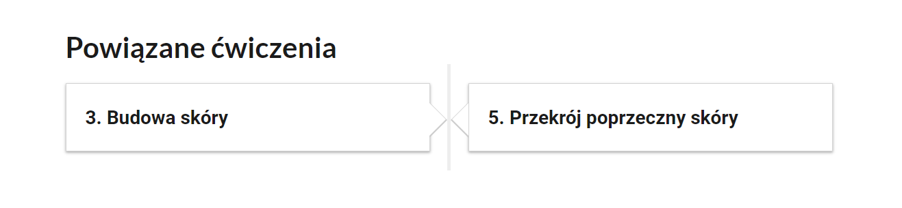 Grafika przedstawia widok na przyciski ćwiczeń powiązanych. W dwóch ramkach tytuły ćwiczeń. Trzy. Budowa skóry. Pięć. Przekrój poprzeczny skóry.