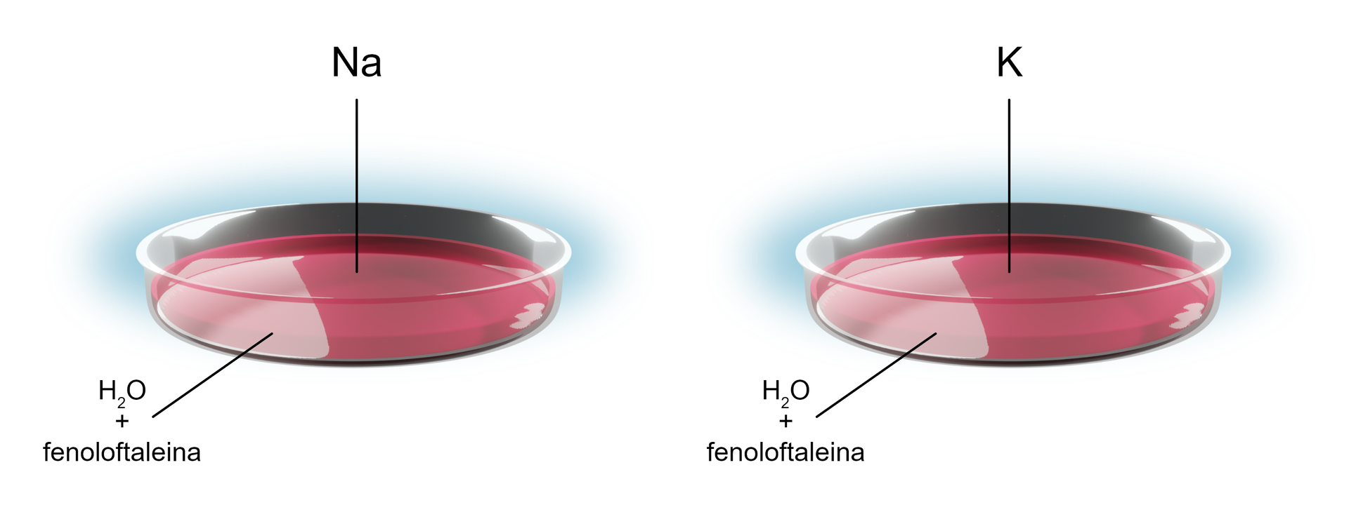 Na ilustracji są dwie szalki Petriego. W obydwu jest woda + fenoloftaleina. Do jednego roztworu dodano sód, do drugiego potas. Zawartość szalki jest czerwona. 