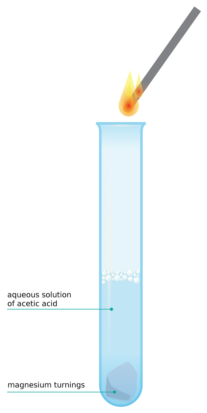 Ilustracja przedstawia probówkę, w której zaobserwować reakcję magnezu (magnesium) z roztworem wodnym kwasu octowego (aqueous solution of acetic acid). Nad probówką zapalone łuczywo.