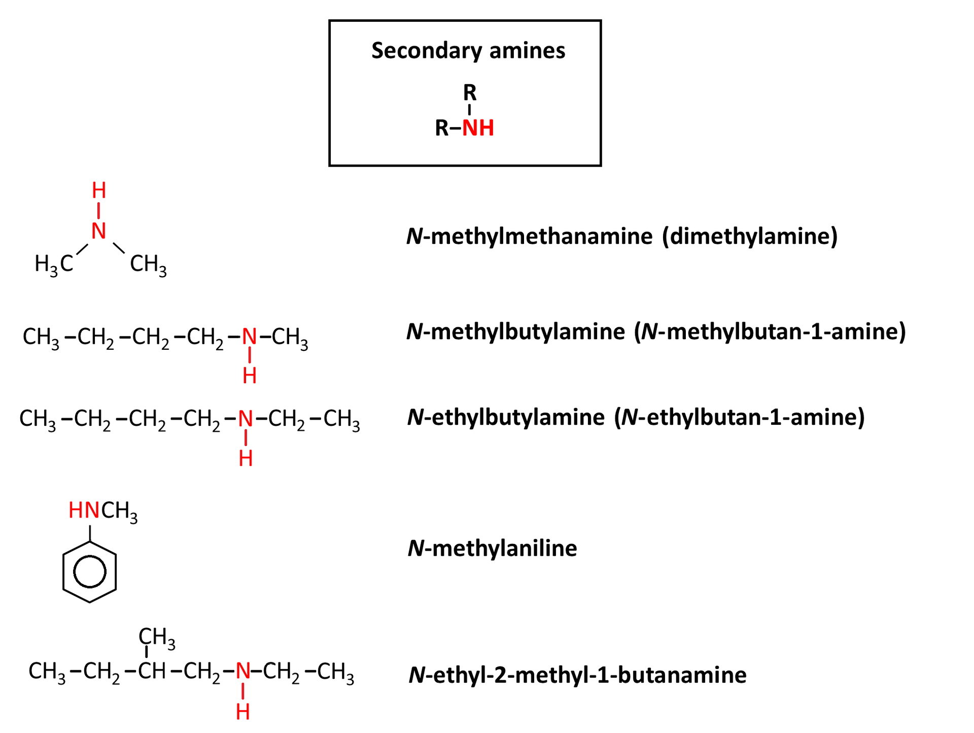 Schemat przedstawiający specjalne nazwy amin drugorzędowych i ich wzory strukuralne. Są to kolejno od góry en metylometanamina en methylmethanamine  dimetyloamina (dimethylamine) następnie en  metylobutyloamina en methylbutylamine en (methylbutan jeden amine) następnie en  etylobutyloamina en ethylbutylamine (N-ethylbutan jeden amine) następnie  N-metyloanilina en methylaniline oraz en etylo dwa metylo jeden butanamina en ethyl dwa methyl jeden butanamine