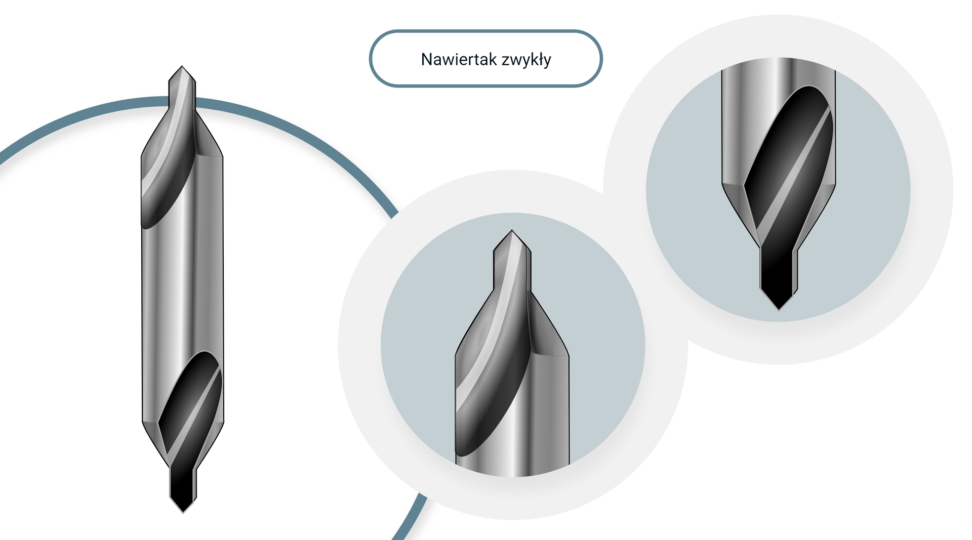 Opis alternatywny dotyczy nawiertaka zwykłego.