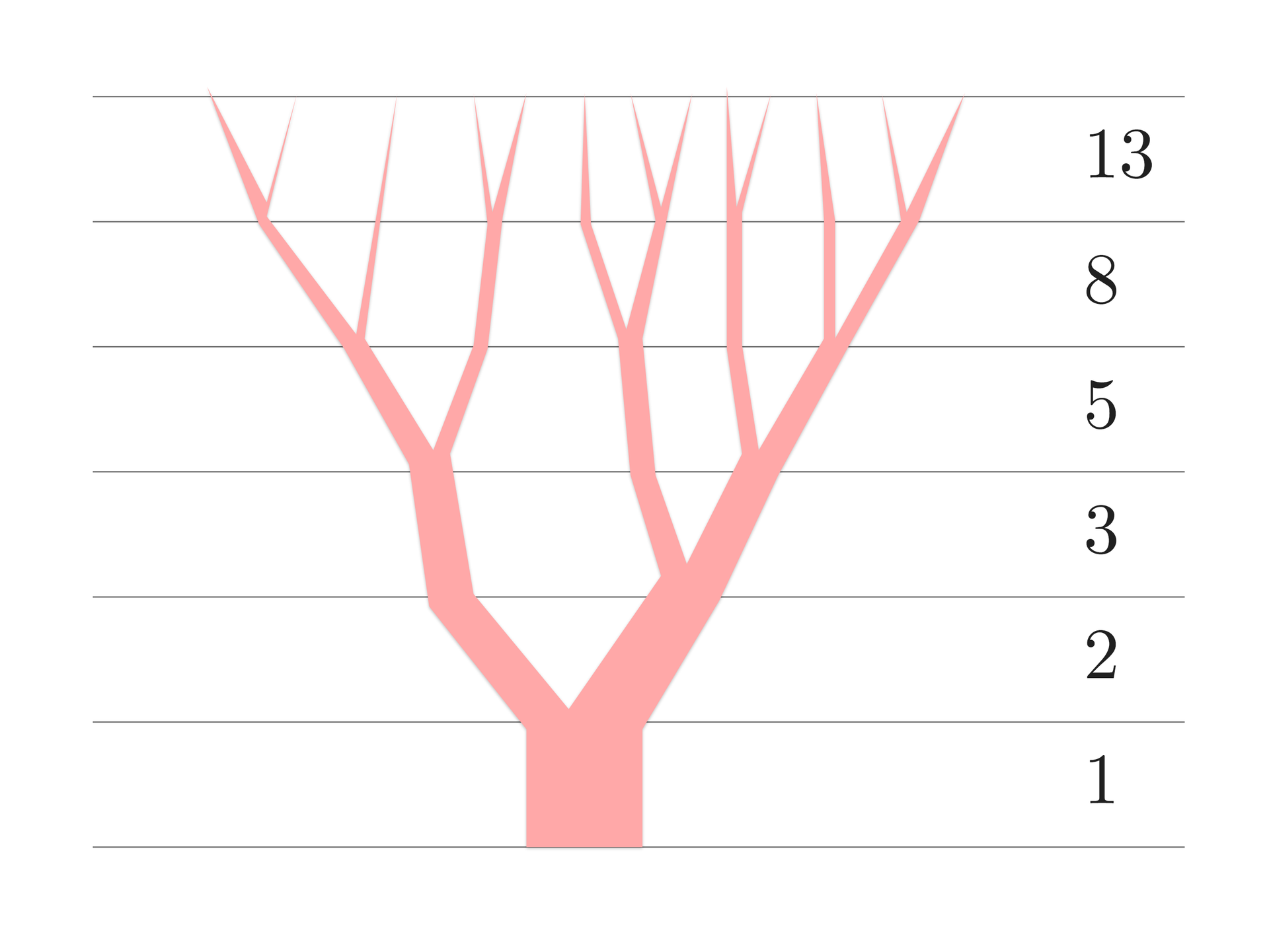 Grafika przedstawia drzewo w kolorze czerwonym. Cały rysunek jest podzielony na 6 równych pól za pomocą poziomych linii. Po prawej stronie zapisane są kolejne liczby ciągu Fibonacciego. Kolejno od dołu: 1, 2, 3, 5, 8, 13. W pierwszym polu na samym dole rysunku jest tylko pień drzewa. W drugim polu drzewo rozdziela się na dwie grube odnogi. W trzecim polu z prawej odnogi wyrasta dodatkowa gałąź. W czwartym polu z lewej odnogi wyrasta dodatkowa gałąź, natomiast prawa odnoga dzieli się już na trzy gałęzie. W tym polu w sumie znajduje się 5 gałęzi. W piątym polu Z lewej odnogi wyrastają 3 gałęzie, a prawa dzieli się na 5 gałęzi. W szóstym polu lewa odnoga dzieli się na pięć gałęzi, a prawa odnoga dzieli się na 8 gałęzi.