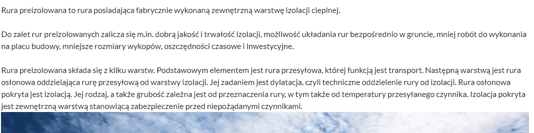 Przykładowy wygląd opisu