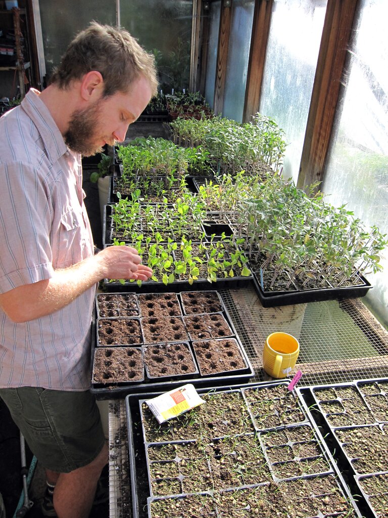 Zdjęcie przedstawia mężczyznę, który wysiewa nasiona. Robi to do niewielkich, prostokątnych pojemników wypełnionych ziemią. 
