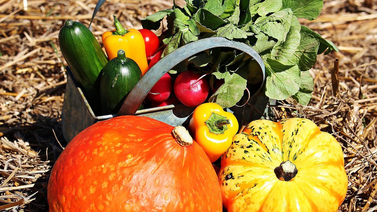 Zdjęcie przedstawia ułożone obok siebie warzywa na sianie. Są tam: dynie, cukinie, papryki, pomidory oraz rzodkiewka. Transkrypcja nagrań znajduje się poniżej.