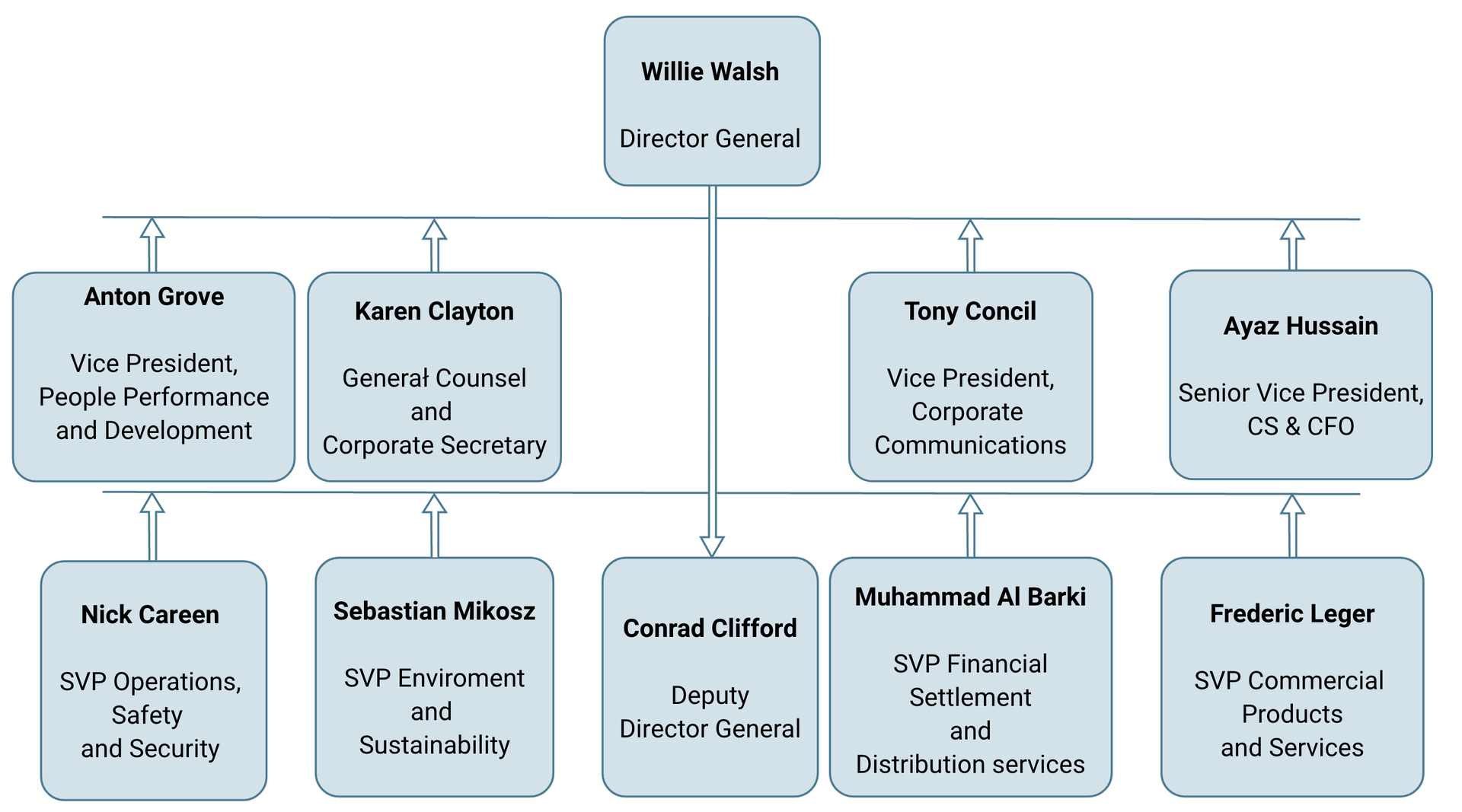 Struktura organizacyjna IATA