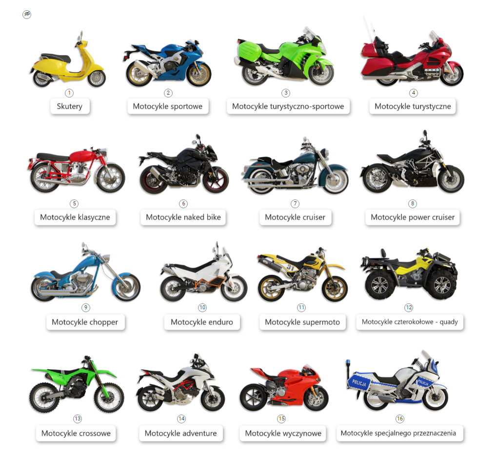 Zrzut widoku schematu interaktywnego w którym zostały wymienione typy motocykli. Widać szesnaście modeli motocykli omawianych w tym temacie wraz z podpisami.
