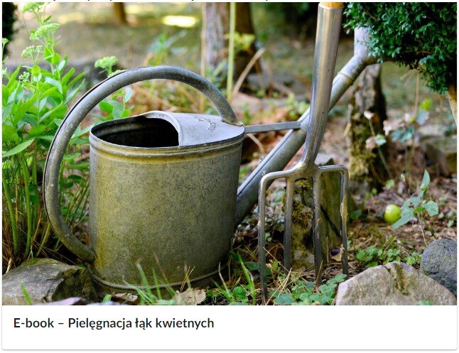 Zdjęcie przedstawia widok okładki e‑booka. Okładka składa się z kafelka z ilustracją przedstawiającą konewkę i widły oraz znajdującego się poniżej podpisu "E‑book - Pielęgnacja łąk kwietnych".