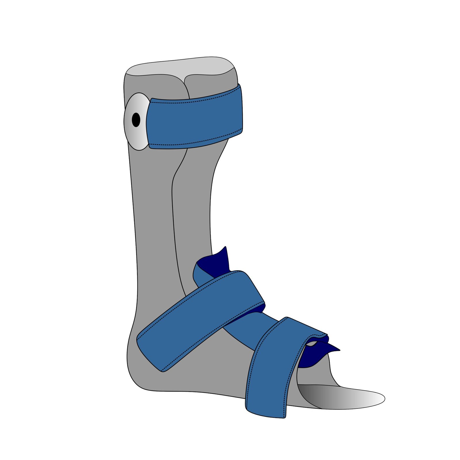 Grafika przedstawia ortezę mającą formę płaskiej podeszwy i przedłużenie wzdłuż kości piszczelowej do stawu kolanowego użytkownika. Orteza obejmuje całą stopę z wyjątkiem palców. W miejscu, w którym wypadają kości śródstopia pacjenta, znajduje się materiał. Aparat ortopedyczny jest mocowany za pomocą trzech rzepów: w miejscu kości śródstopia, stawu skokowego i pod stawem kolanowym użytkownika.