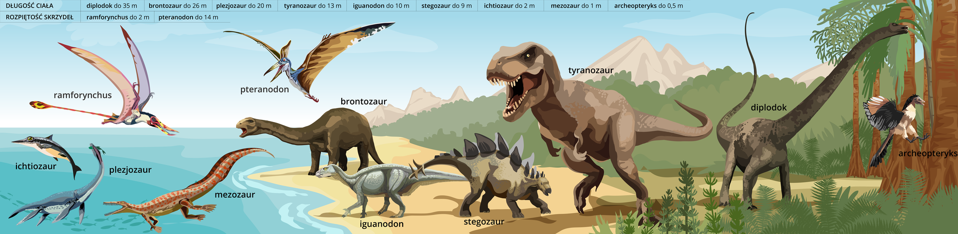 Ilustracja przedstawia charakterystyczne rośliny i zwierzęta ery gadów. Po lewej stronie widoczne jest morze, a w nim pływający plezjozaur (gad o krępym ciele, dwóch parach krótkich płetw oraz bardzo długiej szyi), ichtiozaur (gad przypominający delfina, posiada płetwy ogonową, grzebietową, piersiowe i brzuszne) oraz mezozaur (gad przypominający dużą jaszczurkę ze spłaszczonymi łapami, umożliwiającymi pływanie) polujący na ryby. Powyżej, w powietrzu szybuje ramforynchus (gad o długich ostro zakończonych skrzydłach. Posiadał wolne palce kończyn przednich Ogon był bardzo długi i kończył się owalnym rozszerzeniem). Prawa strona ilustracji to ląd porośnięty drzewami i innymi roślinami, po którym spacerują zwierzęta: brontozaur (duży gad lądowy o długiej szyi, chodzi na czterech nogach), stegozaur (gad chodzący na czterech nogach, posiadający krępe ciało i małą głowę, na grzbiecie posiada trójkątne wyrostki), iguanodon (gad chodzący na czterech nogach, posiada długi ogon), tyranozaur (gad chodzący na silnych tylnych kończynach, przednie są małe, zredukowane. Posiada długi ogon i dużą głowę. W pysku widać liczne ostre zęby), diplodok (gad chodzący na czterech nogach. Posiada długi cienki ogon oraz długą szyję. Głowa jest mała, gad sięga pyskiem do wysoko rosnących liści). Nad nimi lata pteranodon (gad przypominający nietoperza. Skrzydła rozciągają się na całym boku ciała. Widoczne wolne palce kończyny przedniej. Na głowie posiada wysoki czub. Dziób długi, ostro zakończony). Po prawej, na drzewie wspina się archeopteryks (jest to przypominający ptaka gad. Posiada kolorowe upierzenie). Na górze ilustracji wypisano rzeczywiste długości ciała dinozaurów i rozpiętości skrzydeł. Długość ciała: diplodok do 35 metrów, brontozaur do 26 metrów, plezjozaur do 20 metrów, tyranozaur do 13 metrów, iguanodon do 10 metrów, stegozaur do 9 metrów, ichtiozaur do 2 metrów, mezozaur, do jednego metra, archeopteryks do pół metra. Rozpiętość skrzydeł: remforynchus do dwóch metrów, pteranodon do 14 metrów.