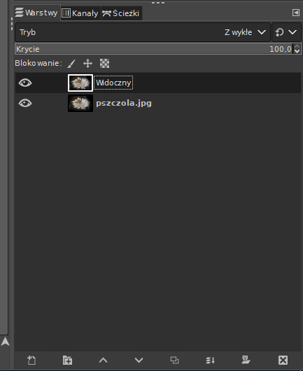 Ilustracja przedstawia panel dotyczący Warstw. Są dwie warstwy: pierwsza ma nazwę Widoczny, druga pszczola.jpg.  