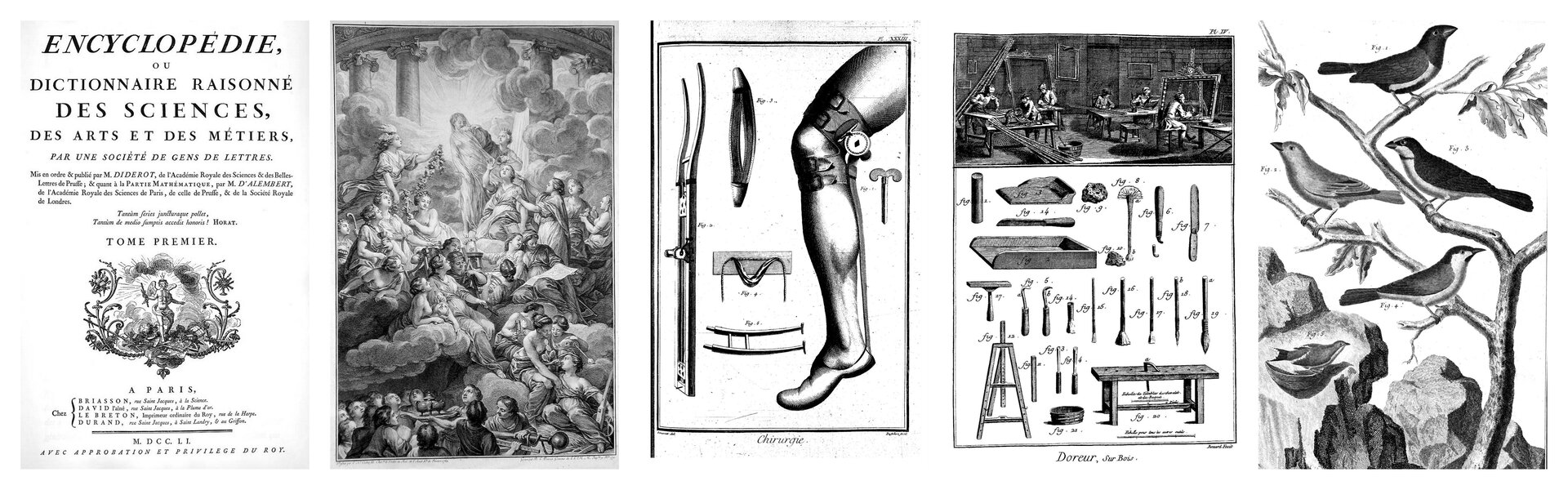 Ilustracja przedstawia pięć stron z Encyklopedii. Pierwsza przedstawia stronę tytułową w języku francuskim wraz z rysunkiem półnagiej postaci ze skrzydłami, wokół której są chmury, blask oraz roślinne ornamenty. Druga przedstawia skupisko postaci w długich togach, które spoczywają na chmurach, rozmawiają ze sobą, czytają, trzymają różne przedmioty. Na szczycie jest kobieca postać w przezroczystej sukni, przy której kwiecisty wieniec niesie inna kobieta. W tle są chmury, blask oraz kolumnada. Trzecia strona przedstawia ułożone elementy jakiegoś przedmiotu oraz nogę, która ma założone opaski na kolanie oraz połączone z nimi obuwie. Czwarta strona przedstawia na górze pracownię, w której pracownicy tworzą dekoracyjne ramy obrazów. Poniżej znajdują się ułożone narzędzia: między innymi różne pędzle, dłuta, stół, nożyk, tacka, sztaluga. Piąta strona przedstawia ptaki znajdujące się na gałęziach drzewa oraz na skale.