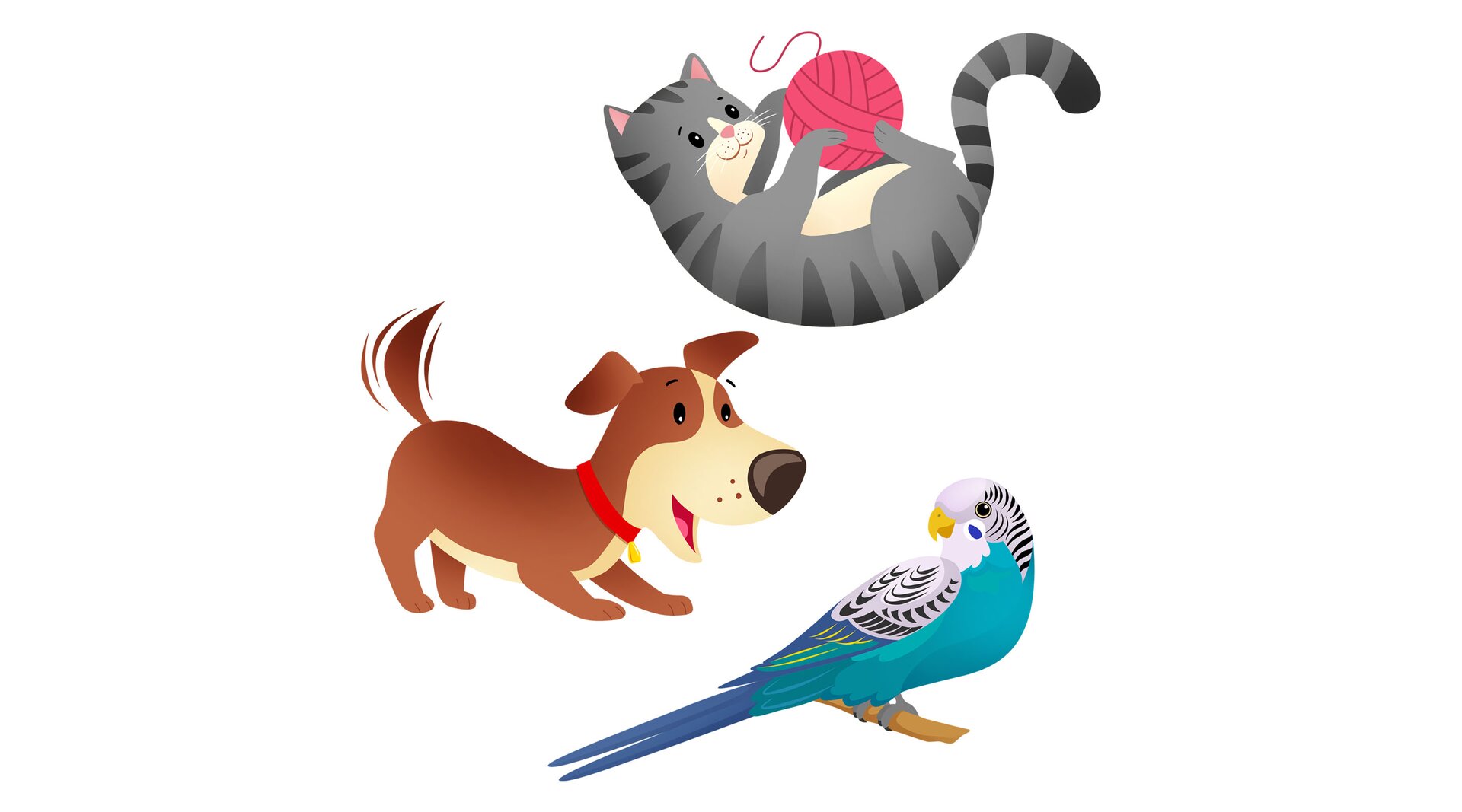 Na ilustracji znajdują się zwierzątka domowe: pies, kot i papuga.