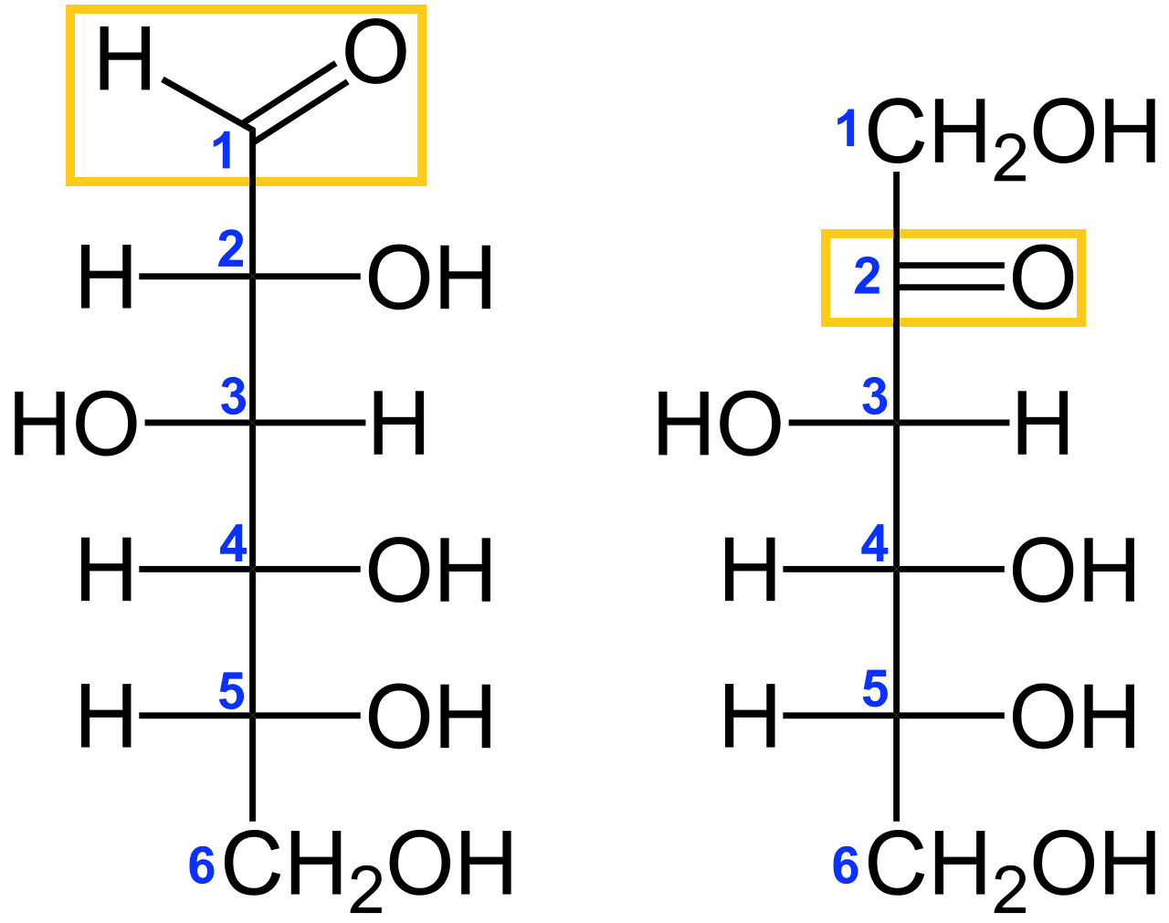 Schemat przedstawia wzory strukturalne D-glukozy i D-fruktozy. Oba te związki mają ten sam wzór sumaryczny C indeks dolny 6 H indeks dolny 12 O indeks dolny 6. Różnią się jednak wzorami strukturalnymi. W cząsteczce D-glukozy do pierwszego atomu węgla przyłączona jest grupa aldehydowa. Przy kolejnych węglach grupy O H oraz atomy wodoru przyłączone są naprzemiennie. Przy szóstym atomie węgla znajduje się grupa C H indeks dolny 2 O H. W cząsteczce D-fruktozy przy pierwszym atomie węgla znajduje się grupa O H, natomiast przy drugim atomie węgla przyłączona jest grupa ketonowa. Przy kolejnych węglach grupy O H oraz atomy wodoru przyłączone są naprzemiennie. Przy szóstym atomie węgla znajduje się grupa C H indeks dolny 2 O H.