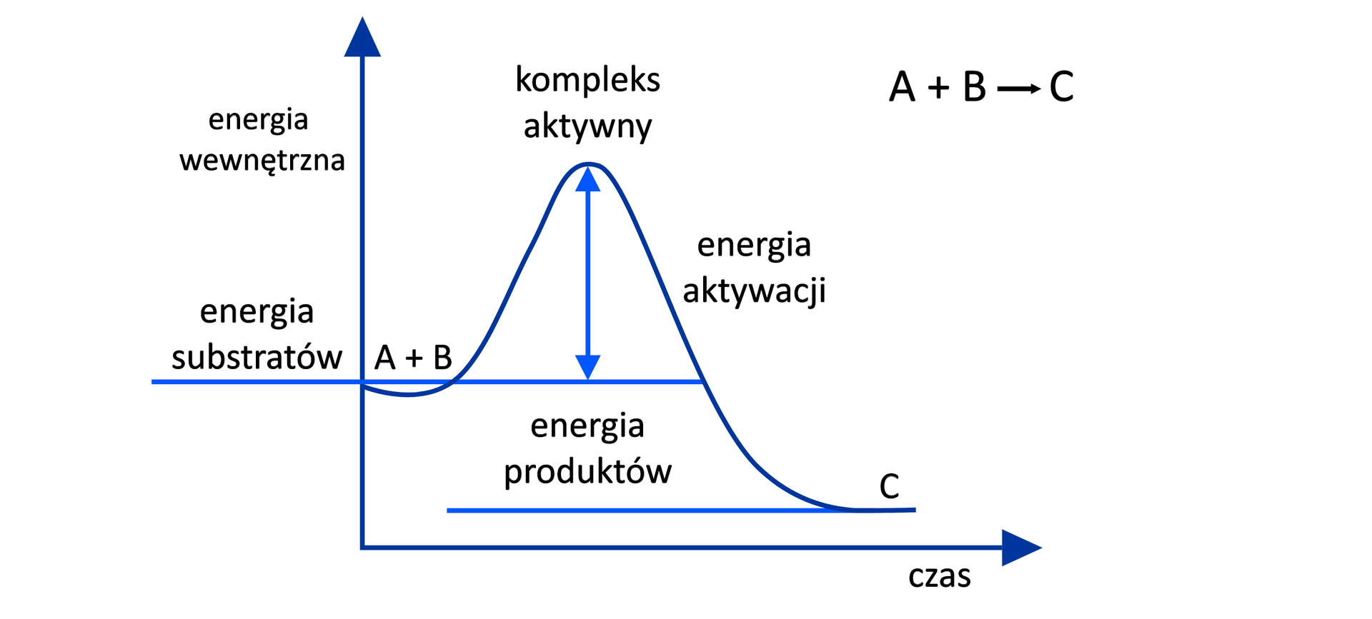 Ilustracja przedstawiająca wykres zależności energii wewnętrznej od czasu dla reakcji egzoenergetycznej. Początkowa energia substratów stanowi ją odcinek poziomy, rozpoczęcie reakcji powoduje wzrost funkcji do osiągnięcia maksimum, w którym energia jest największa i równa energii kompleksu aktywnego. Dalej funkcja maleje do momentu osiągnięcia wartości równej energii produktów, których to energia jest mniejsza niż energia substratów. Na wykresie zaznaczono energię aktywacji jako różnicę energii kompleksu aktywnego i energii substratów. Ponadto zapisano równanie reakcji A dodać B, strzałka w prawo, za strzałką C.