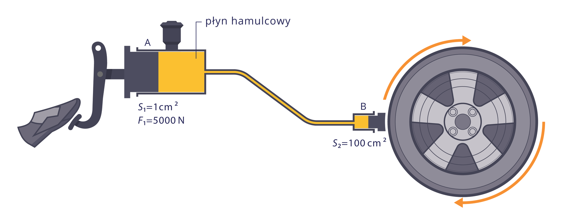 Ilustracja przedstawia uproszczony schemat hydraulicznego układu hamulcowego – dwa przekroje o różnych polach powierzchni. Zaznaczona siła nacisku stopy na mniejszą powierzchnię (tłoczek), wynosząca pięć tysięcy niutonów. Powierzchnia tłoczka wynosi jeden centymetr kwadratowy. Powierzchnia tłoka naciskającego na obracające się koło wynosi sto centymetrów kwadratowych. Między tłokami znajduje się płyn hamulcowy. Obok tłoczka zaznaczono punkt A, obok tłoka punkt B.