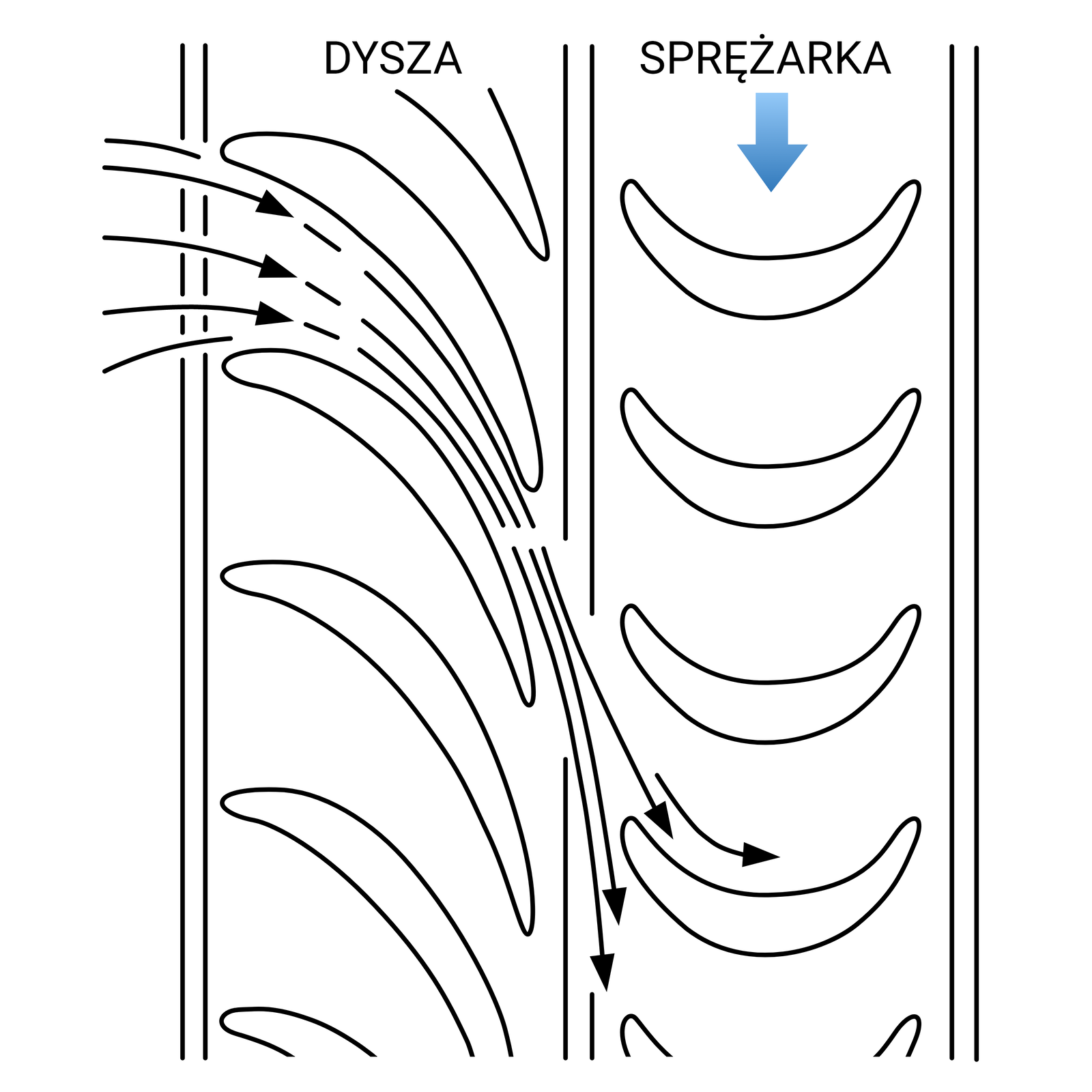 Ilustracja przedstawia turbinę akcyjną czyli rozprężenie na łopatkach wieńca dyszowego turbiny. W pionie pokazane są dwa rzędy łopatek, widziane z góry. Lewy podpisany jest jako dysza, łopatki na niej są ustawione w ten sposób, aby powietrze biegnące między nimi z lewej strony zmieniało kierunek lotu z poziomego na pionowy wlatując do prawego rzędu, który podpisany jest jako sprężarka. Łopatki dyszy ustawione są pod kątem, wypukłą stroną łuku w górę i w prawo. Strzałki pokazujące przepływ powietrza zbliżają się do siebie między łopatkami dyszy. Powietrze wpada do sprężarki, gdzie popycha jej łopatki, ustawione tak, aby łapać wpadające powietrze. Łopatki sprężarki ustawione są tutaj prostopadle do kierunku obrotu, wypukłą stroną w dół. Pod podpisem sprężarki znajduje się strzałka ukazująca kierunek jej obrotu w dół.