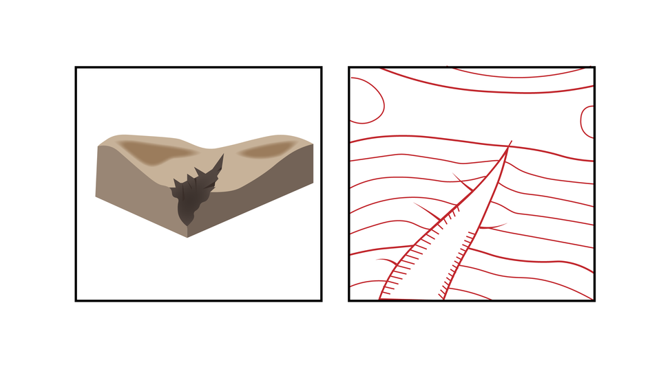 Ilustracja przedstawia wąwóz. Jest to nieregularna szczelina powstała w terenie. Izohipsy zostały przerwane wąwozem. Przez wąwóz nie przechodzą izohipsy.