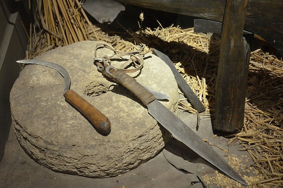 Na ilustracji znajduje się zestaw przedmiotów we wnętrzu charakterystycznych dla kultury przeworskiej. Przedmioty ułożone są na dużym, okrągłym, płaskim kamieniu. Kamień ten posiada wewnątrz otwór, czyli mógł to być kamień żarnowy, służący do mielenia żarna. Po lewej stronie leży żelazny sierp z drewnianą rękojeścią. Ostrze ma zakrzywione, typowe dla narzędzi używanych do ścinania zbóż. Po prawej stronie lezy metalowy nóż z owiniętą skórzanym rzemieniem rękojeścią. Na końcu rękojeść posiada otwór, przez który przechodzi rzemień. Na betonowym podłożu lezy zboże i słoma. 