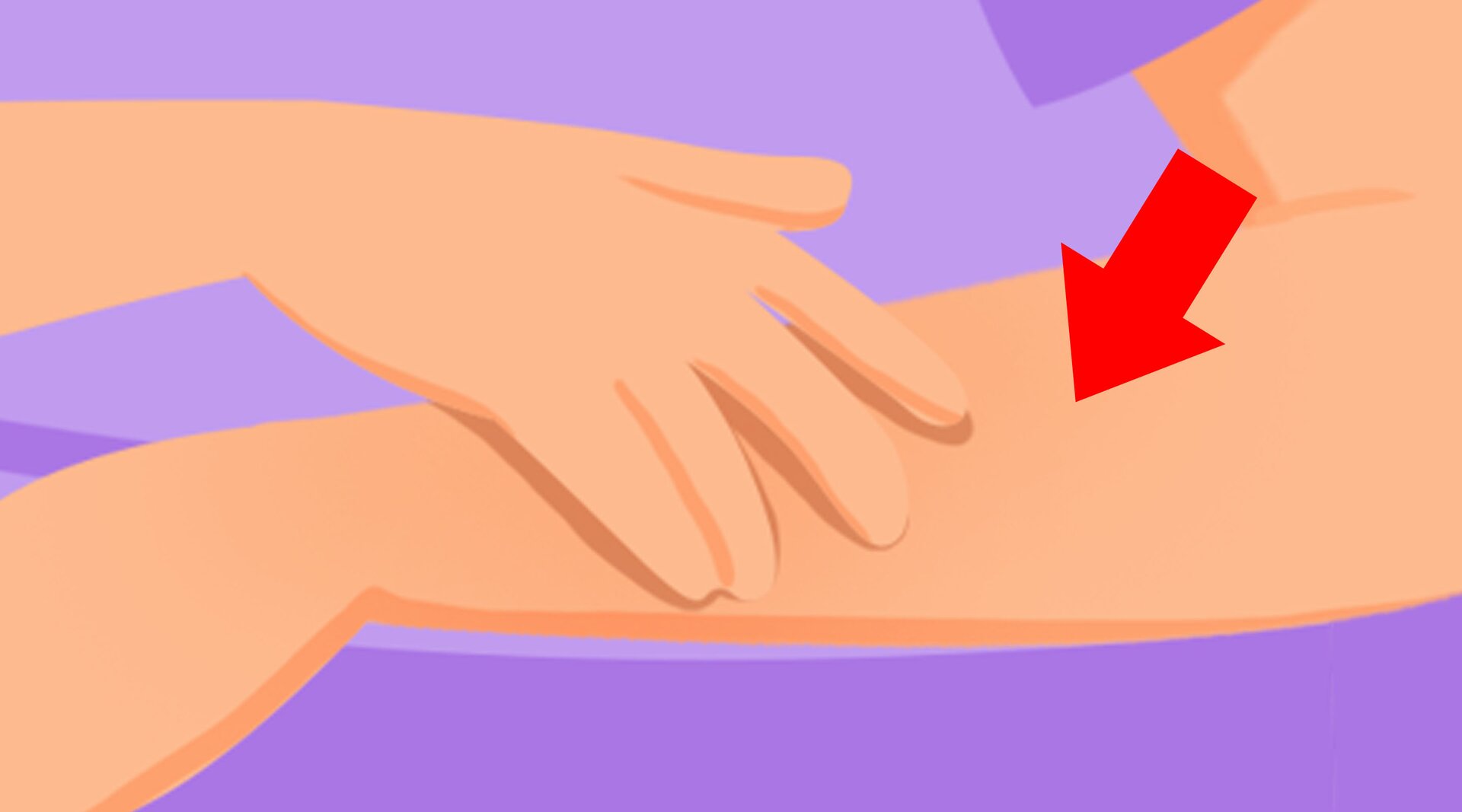 Ilustracja przedstawia skórę na ręce.