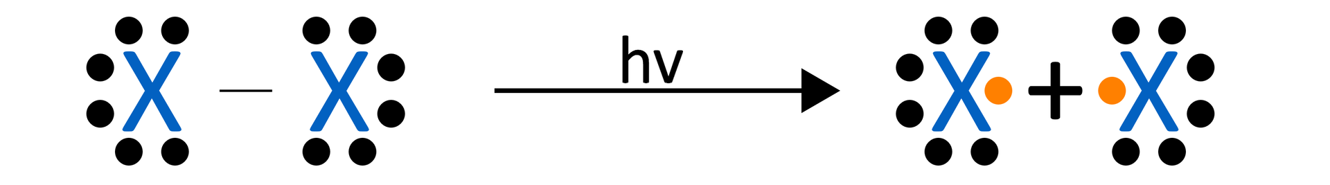 Ilustracja przedstawia reakcję powstawania rodnika. Duża litera X łączy się wiązaniem pojedynczym z dużą literą X.  To cząsteczka halogenu. Wokół każdego X znajduje się sześć czarnych kropek - po trzy pary. Dalej znajduje się strzałka w prawo, nad strzałką: hv, powstają dwa rodniki, każdy X jest otoczony siedmioma kropkami - są trzy pary czarnych kropek i jedna kropka pomarańczowa.