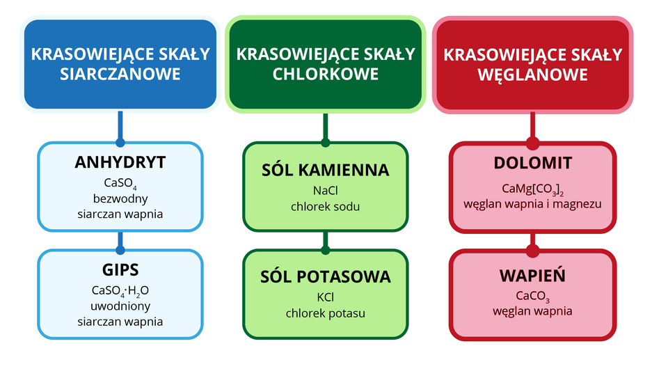 Schemat przedstawia podział krasowiejących skał na: siarczanowe, chlorkowe, węglanowe. Prostokąt niebieski 1. Krasowiejące skały siarczanowe: strzałka w dół, prostokąt z napisem anhydryt C a S O indeks dolny, cztery, koniec indeksu dolnego bezwodny siarczan wapnia; strzałka w dół prostokąt z napisem gips C a S O indeks dolny, cztery, koniec indeksu dolnego, razy, H indeks dolny, dwa, koniec indeksu dolnego, O uwodniony siarczan wapnia., Zielony prostokąt 2. Krasowiejące skały chlorkowe: strzałka w dół do prostokąta z napisem  sól kamienna NaCl chlorek sodu; strzałka w dół do prostokąta z napisem sól potasowa KCl chlorek potasu., Trzeci główny czerwony prostokąt z napisem 3. Krasowiejące skały węglanowe: strzałka w dół do prostokąta z napisem dolomit C a M g nawias kwadratowy, C O indeks dolny, trzy, koniec indeksu dolnego, zamknięcie nawiasu kwadratowego, indeks dolny, dwa, koniec indeksu dolnego węglan wapnia i magnezu; strzałka w dół do prostokąta z napisem wapień C a C O indeks dolny, trzy, koniec indeksu dolnego węglan wapnia.    